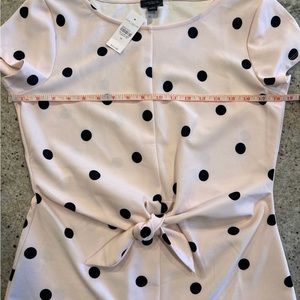 Ann Taylor Factory short sleeve pink with black polka dots top.